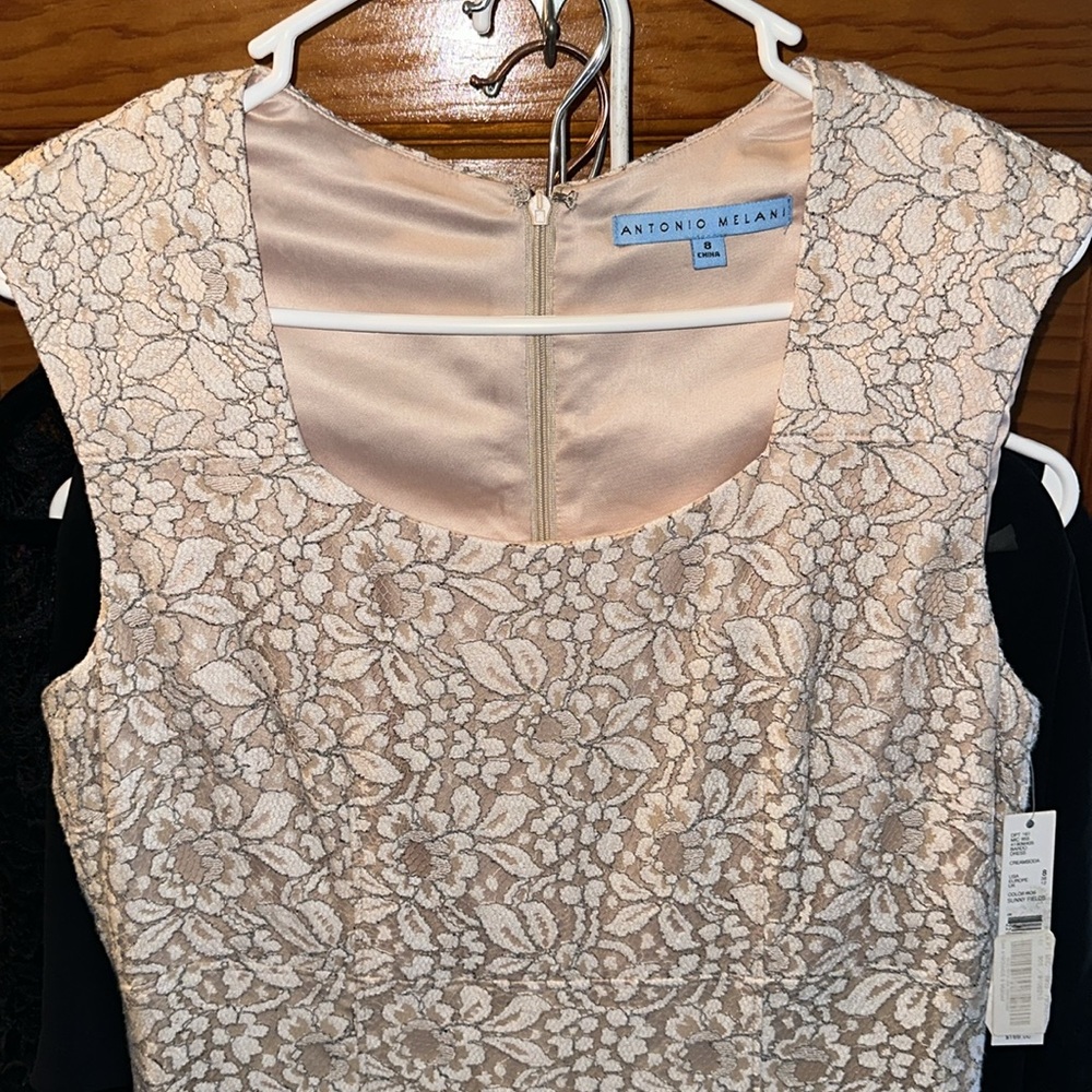 Antonio Melani Bardo cream lace dress. NWT size 8 - Picture 5 of 11